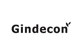 GINDECON logo