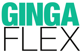 GINGA FLEX logo