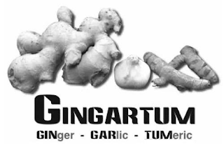 GINGARTUM GINGER · GARLIC · TUMERIC logo