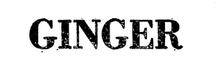 GINGER logo