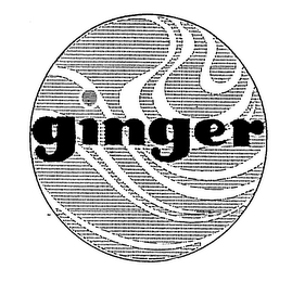 GINGER logo