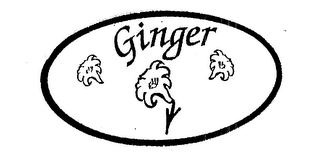 GINGER logo