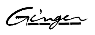GINGER logo