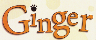 GINGER logo