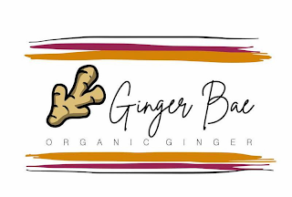 GINGER BAE ORGANIC GINGER logo