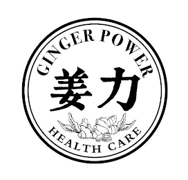 GINGER POWER HEALTH CARE logo