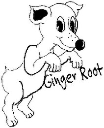 GINGER ROOT logo