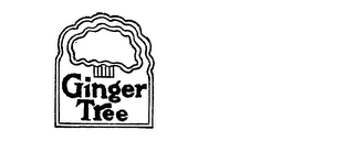 GINGER TREE logo