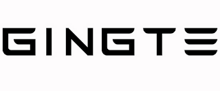 GINGTE logo