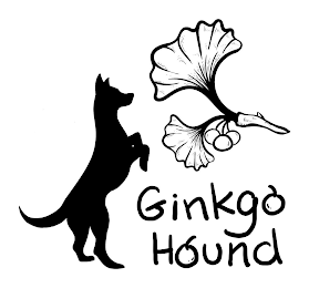 GINKGO HOUND logo