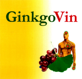 GINKGOVIN logo