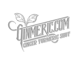 GINMERIC.COM GINGER TURMERIC SHOT logo