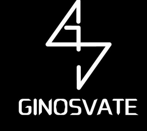 GINOSVATE logo