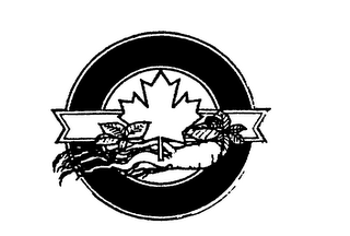 GINSENG GROWERS LOGO logo