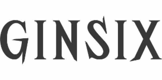 GINSIX logo