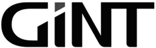 GINT logo