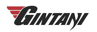GINTANI logo