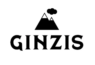 GINZIS logo
