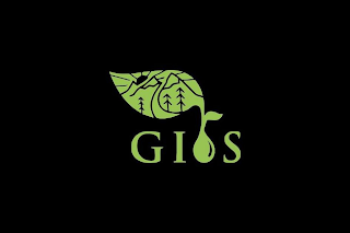 GIOS logo