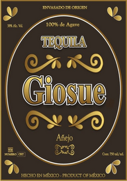 GIOSUE logo