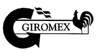 GIROMEX logo