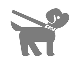 G.I.S! logo