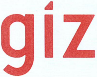 GIZ logo