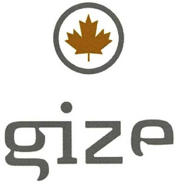 GIZE logo