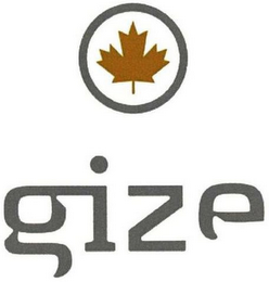 GIZE logo