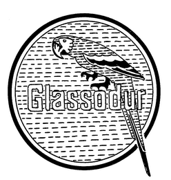GLASSODUR logo