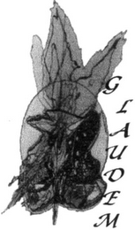 GLAUDEM logo