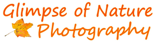 GLIMPSE OF NATURE PHOTOGRAPHY logo