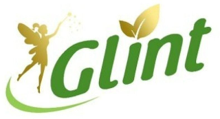 GLINT logo