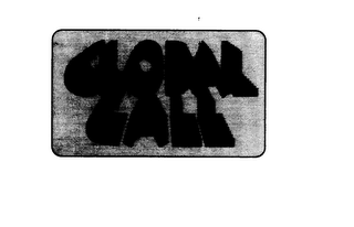 GLOBAL CALL logo
