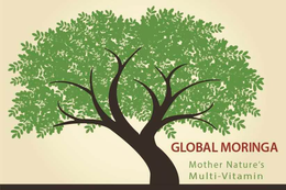 GLOBAL MORINGA MOTHER NATURE'S MULTI-VITAMIN logo