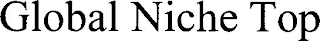 GLOBAL NICHE TOP logo