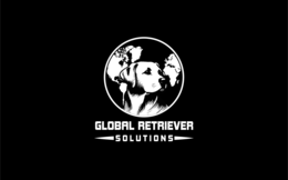 GLOBAL RETRIEVER SOLUTIONS logo