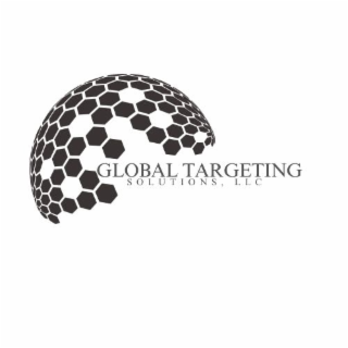 GLOBAL TARGETING SOLUTIONS, LLC logo