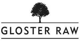 GLOSTER RAW logo