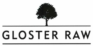 GLOSTER RAW logo