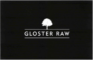 GLOSTER RAW logo