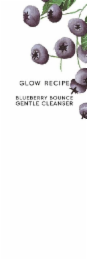 GLOW RECIPE BLUEBERRY BOUNCE GENTLE CLEANSER logo