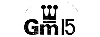 GM 15 logo