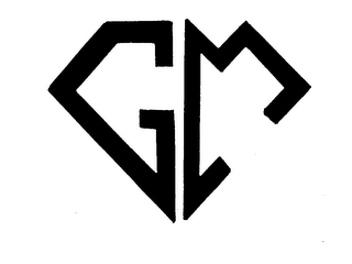 GM logo