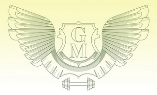 GM logo