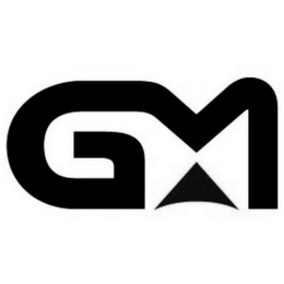 GM logo