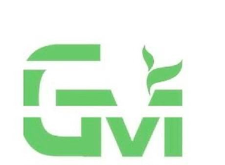 GM logo
