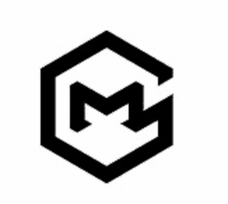 GM logo