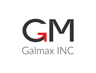 GM GALMAX INC logo