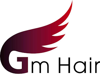 GM HAIR logo